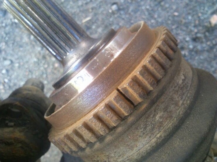 Фото из Интернета