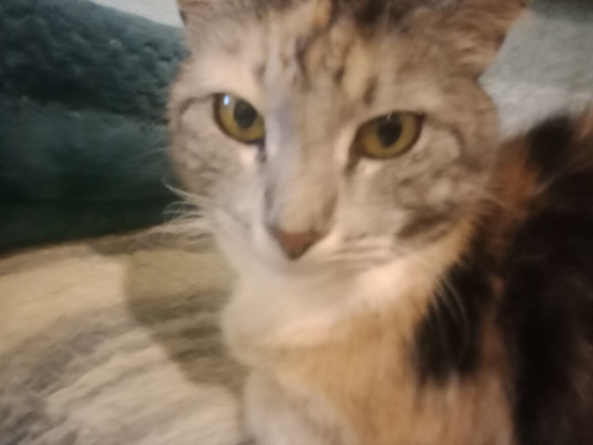 Машуня - предсказательница!