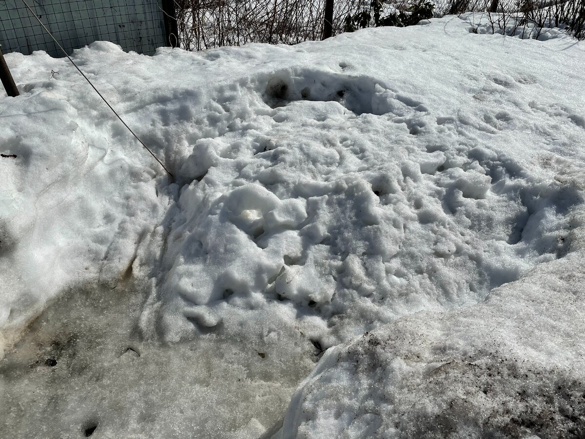 Чистка скважин на воду в Москве и городах Московской области