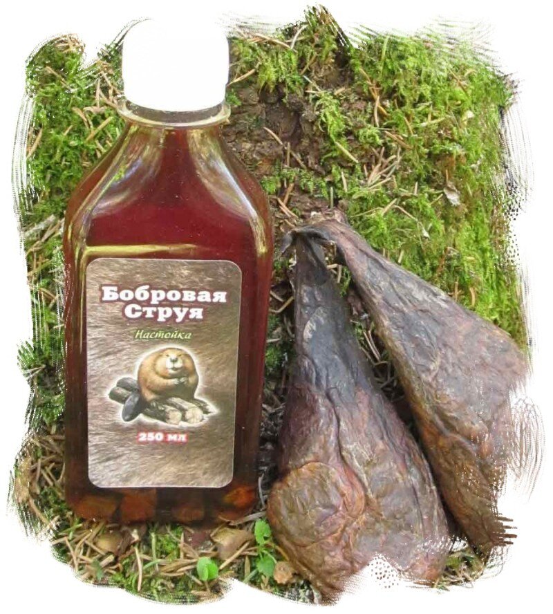 Бобровая струя нарине. Бобровая струя лекарство. Струя бобра экстракт 250 мл. Как принимать бобровую струю настойку. Настойка бобровой струи приготовление.