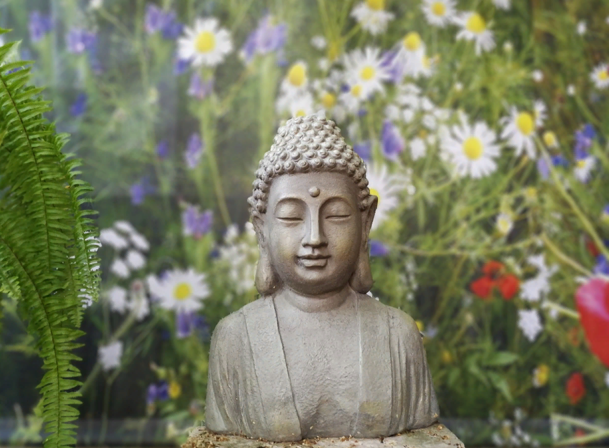 Рисунок 2 - Блаженство Будды