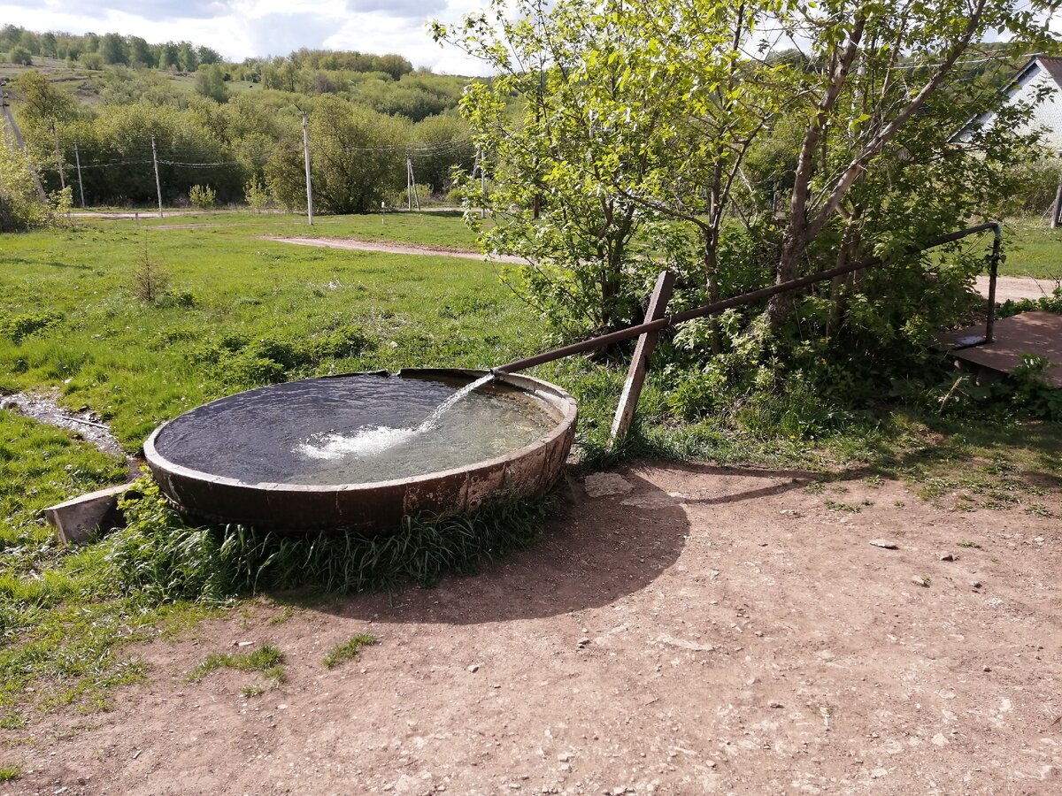 Не сразу поняли откуда он тут,позже выяснится что со спиртзавода его притащили местные