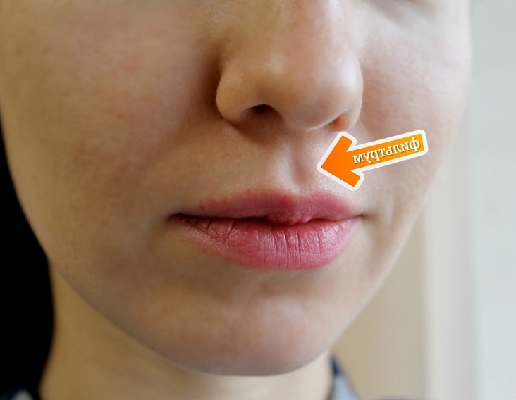 Фото из открытого доступа поисковой системы