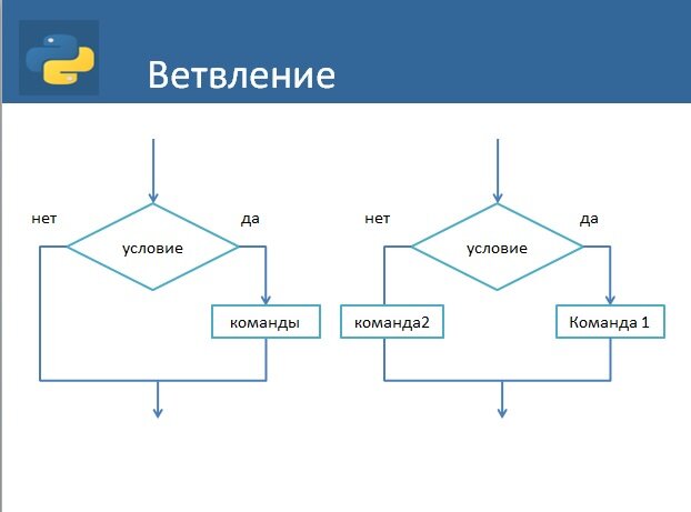 Python условный оператор презентация - 98 фото