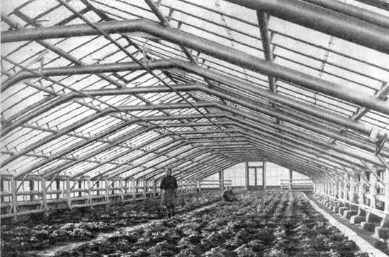 Изображение из Детской энциклопедии 1974 года. Горячая вода подается в трубы, из которых собран каркас.