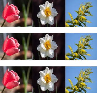 3 букета по одному виду имеющихся цветов