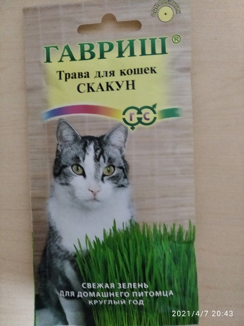 Весна - Пора заниматься огородом, дачей и т.п. по этому решили сходить по магазинам закупиться семенами для рассады, пока выбирали семена, чисто случайно наткнулись на данную траву для кошек, а я то помню как сильно наша любимица любит жевать травку, просто с ума от нее сходит:)