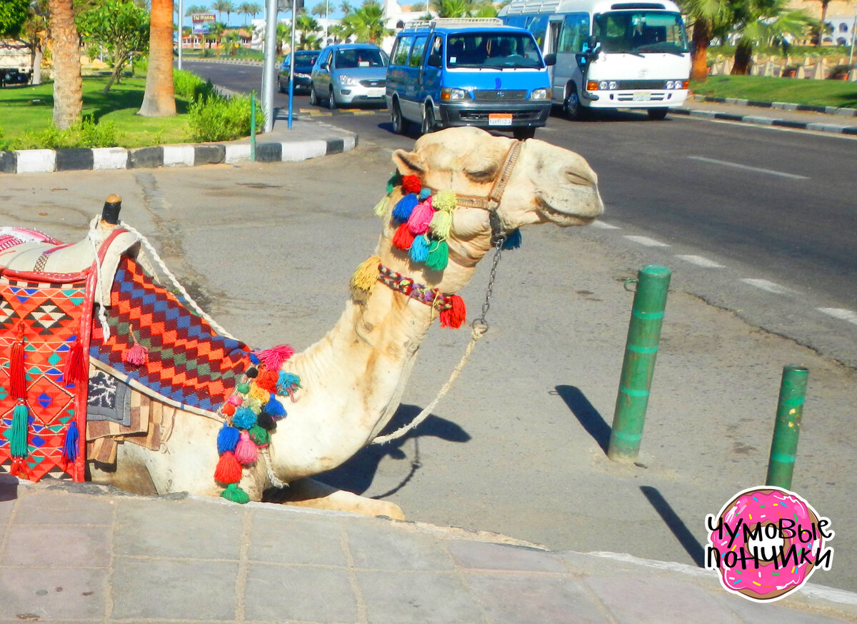 Фото авторское