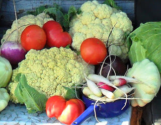 Когда и как правильно сеять различные овощные культуры ?

Оттого как будут посеяны растения на огороде, напрямую зависит какой от них будет получен урожай. Здесь на основании личного опыта приведены некоторые данные, которые помогут правильно провести эту ответственную процедуру для различных овощных культур. 

 Вовремя посеянные овощи хорошо растут и завязывают отличные плоды 
                            время                  глубина             срок хранения 
 посева  посева (см )         семян   (лет)   

 Арбузы             15-20 мая                 3-4                           6-8 
Баклажаны       февраль                  1-2                           3-5 
Брюква             25 июня                   2-3                           4-5   
Бобы                 начало мая              5-7                           5-6 
Горох                начало мая               5-6                           5-6 
Дайкон             15 июля                    2-3                  
Дыня                 20-25 мая                4-6                           6-8 
Зелень 
 Кориандр         все лето                 1-2                            2-3 
  Петрушка        начало мая              2-3                            2-3 
  Салат          начало мая,август      1-2                           3-4 
  Сельдерей  начало мая             1-2                           1-2 
  Укроп               осень            по поверхности                  2-3 
 Шпинат           начало мая               2-3                           4-5 
  Щавель            начало мая              1-2                           2-3 
Кабачки            20-25 мая                 4-5                            6-8      
Капуста             конец апреля          1-2                            3-4 
Картофель         май 
Кукуруза           10-15 мая                 4-5                           3-5 
Лук 
  Севок               начало мая              2-3                           -- 
  Батун               начало мая               1-2                          3-4 
Морковь            начало мая                2-3                          3-4 
Огурцы              май                            2-3                          5-7 
Пастернак         начало мая              2-3                           2-3 
Патиссоны        20-25 мая                  6-7                           6-8 
Перец                 март                        1-2                           2-3 
Ревень               начало мая               1-2                           2-3 
Редис                 май,август                2                             4-5 
Редька               15 июля                    2-3                          4-5 
Репа                   15 июля                   1-2                          4-5 
Свекла               середина мая          3-4                          6-8  
Спаржа              начало мая                3-4                          4-5 
Томаты               март                        1-1,5                       7-8 
Тыква                 20-25 мая                  6-8                         6-8 
Фасоль               10-15 мая                 4-5                         5-6 
Чеснок             конец сентября           3-5                          -- 

Для многолетников в таблице указаны данные для первоначального посева. 

Таблица составлена для личного пользования для Алтайского региона и не претендует на научную достоверность .