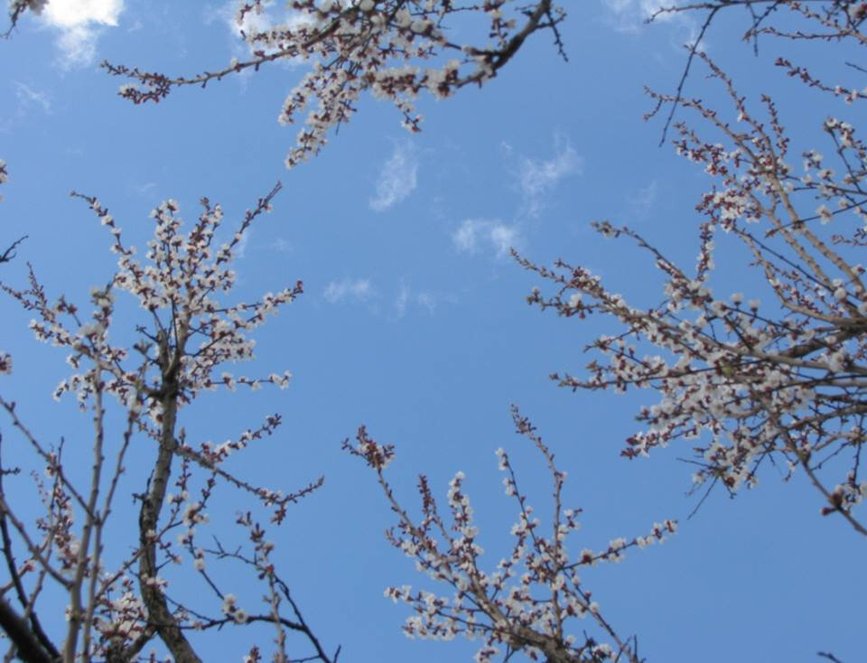 Счастье любит тишину. Фото Натальи Шемет