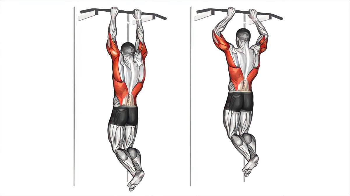 Подтягивания широким какие мышцы работают