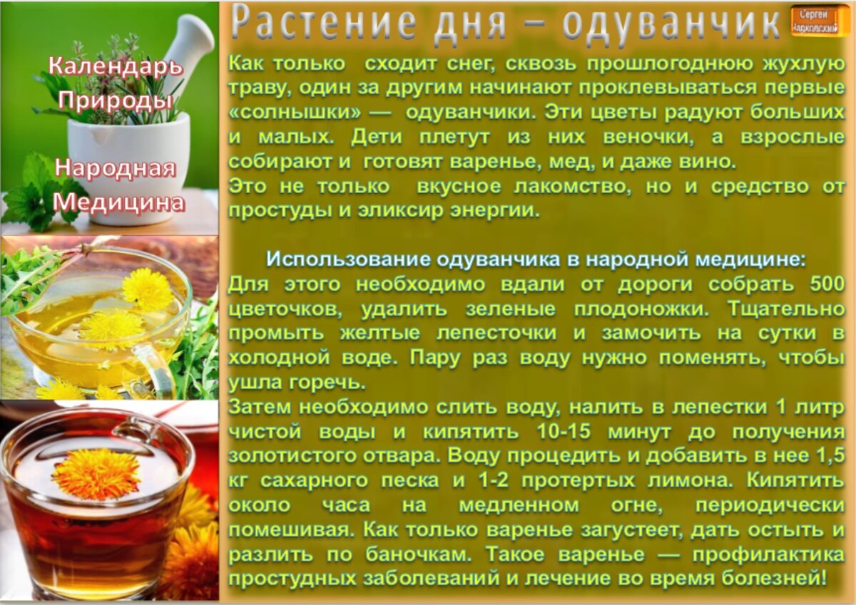 13 апреля- все праздники дня во всех календарях. Традиции , приметы, обычаи  и ритуалы дня. | Сергей Чарковский Все праздники | Дзен