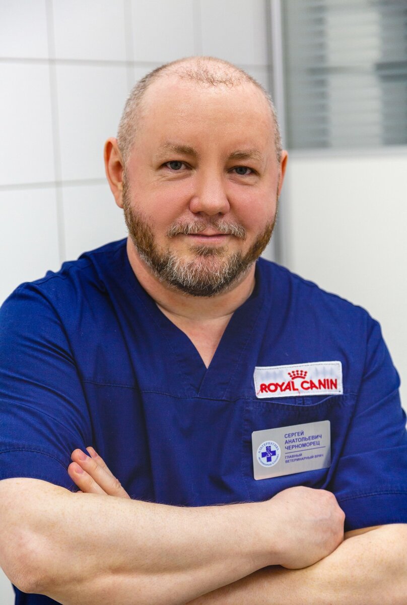 Сергей Черноморец - ветеринарный врач