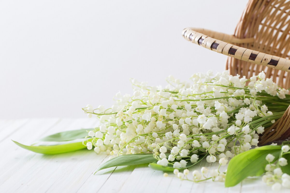 Как отдыхаем в мае 2021 года. Источник фото: Shutterstock