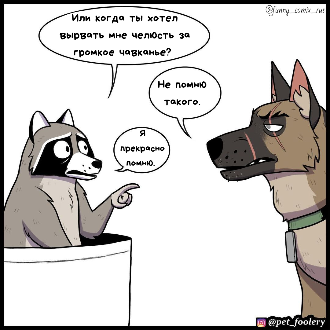 Comic pet