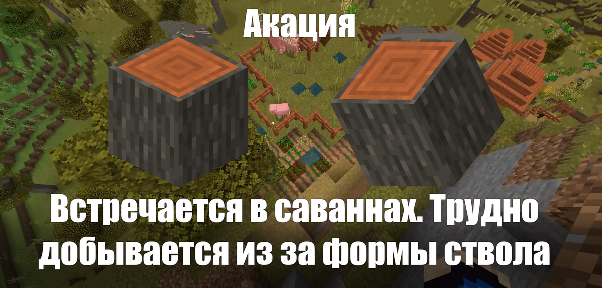Факты Майнкрафт № 25