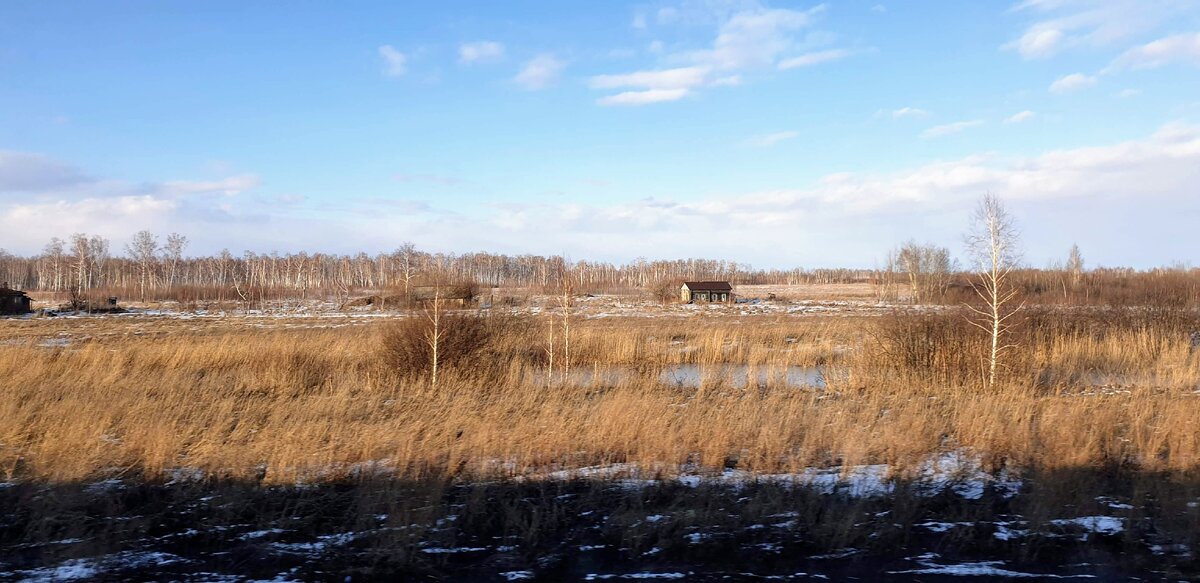 Фото из поезда по дороге на Урал из Новосибирска.