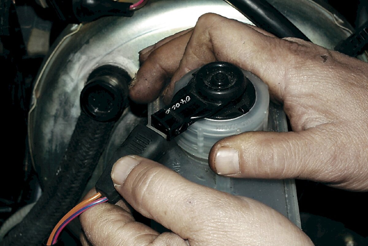 Фото взято с Яндекс картинки.