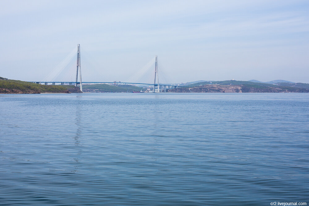 Русский мост. Владивосток. Фото автора статьи  