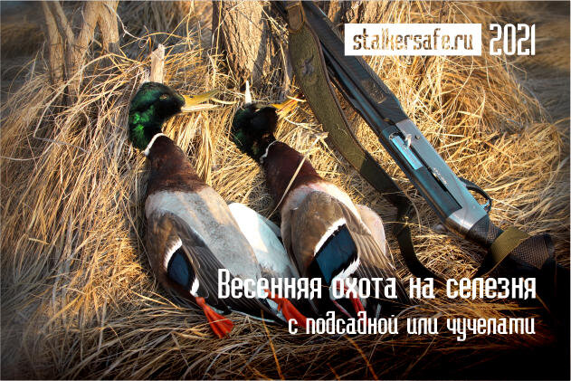 Интернет-магазин Stalkersafe.ru