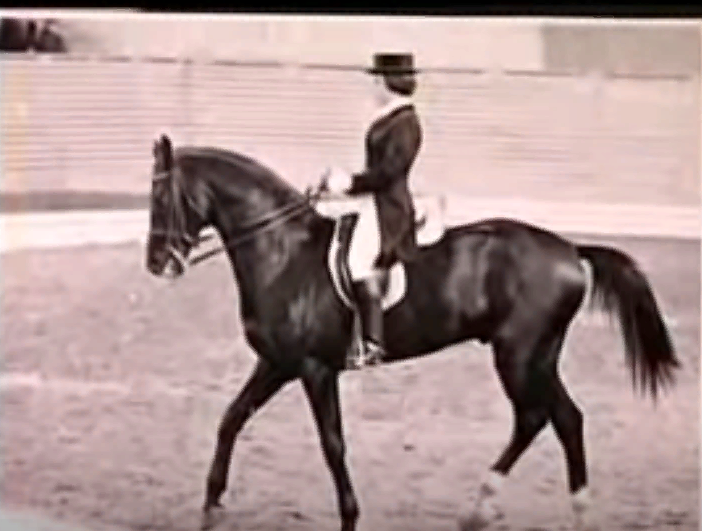 Скриншот видео. Елена Петушкова на Абакане.