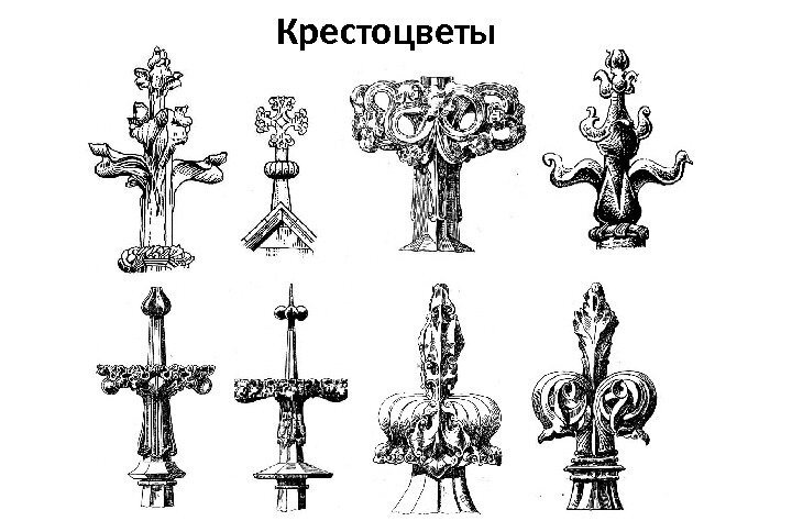 Разнообразие крестоцветов (флеронов), европейские примеры
