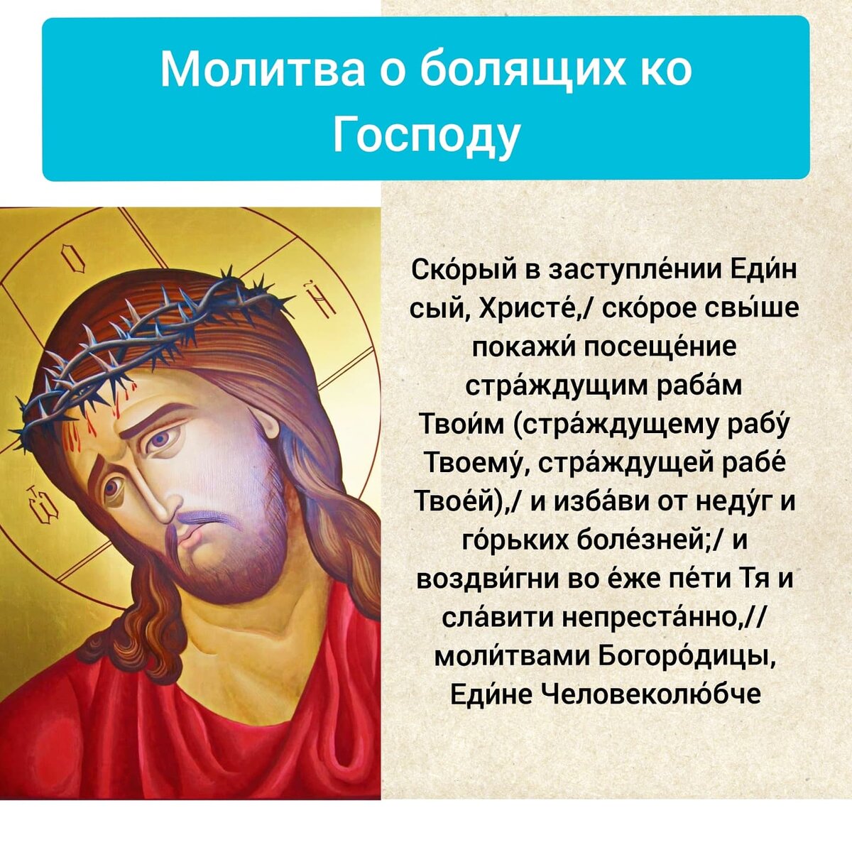 Как молиться за лежачего больного? Когда он в сознании , но не может  говорить? Молитва в конце. | Baras_cook_and_travel | Дзен