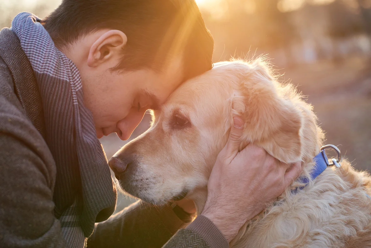 Заботливых хозяев. Собака друг человека. Любовь к животным. Животные друзья человека. Парень обнимает собаку.
