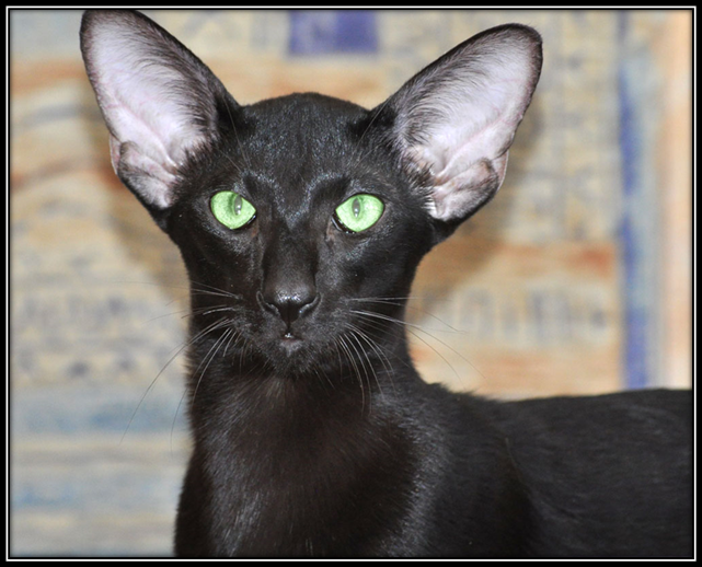 Источник: https://go.mail.ru