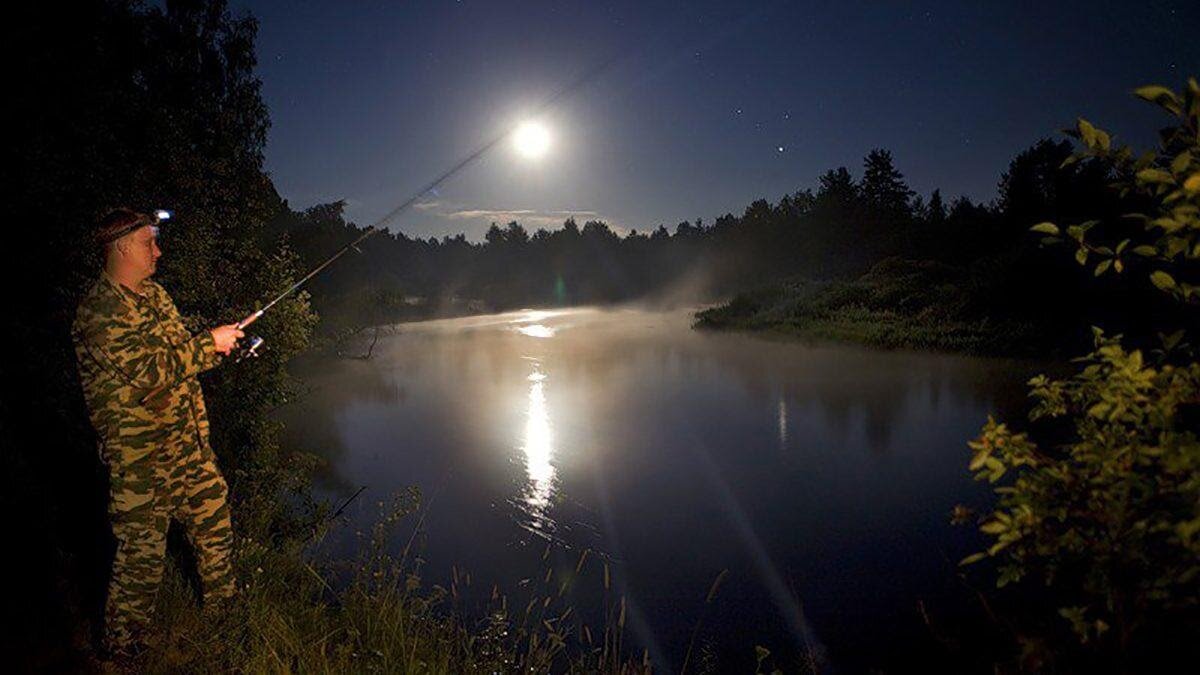 Ловить рыбу ночью. Ночная рыбалка. Фонарь для рыбалки ночью. Ночная рыбалка на реках. Фонарик для рыбалки.