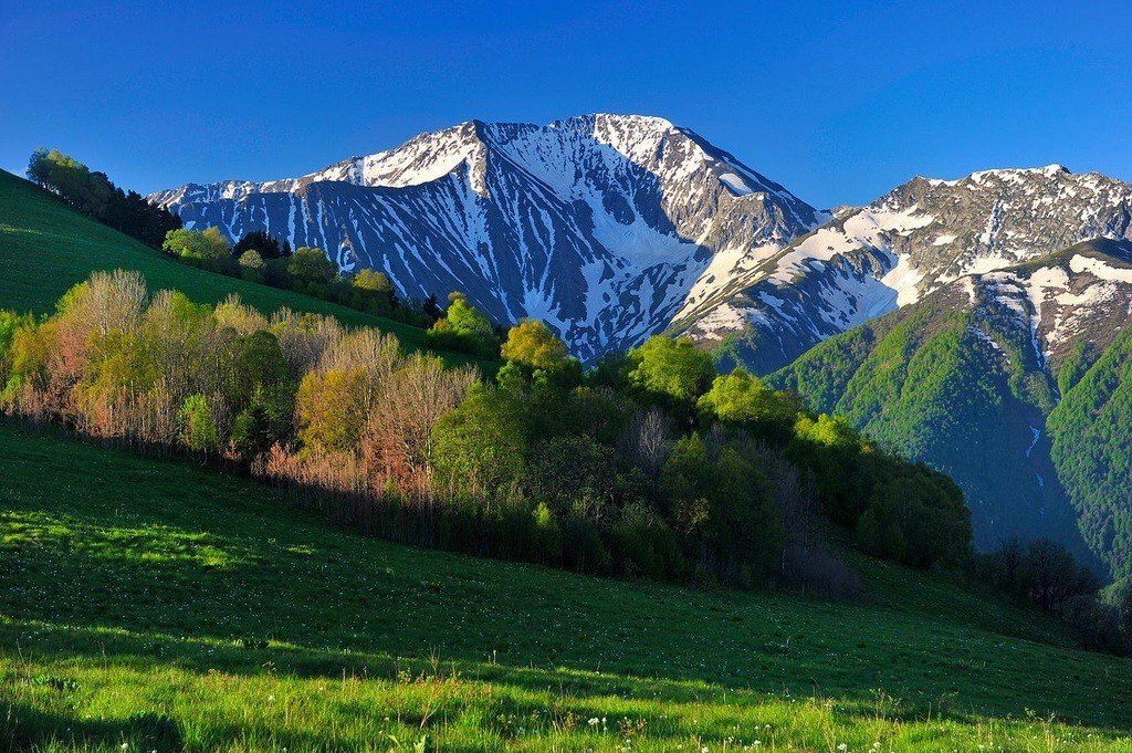 Кавказский заповедник (Яндекс.картинки)