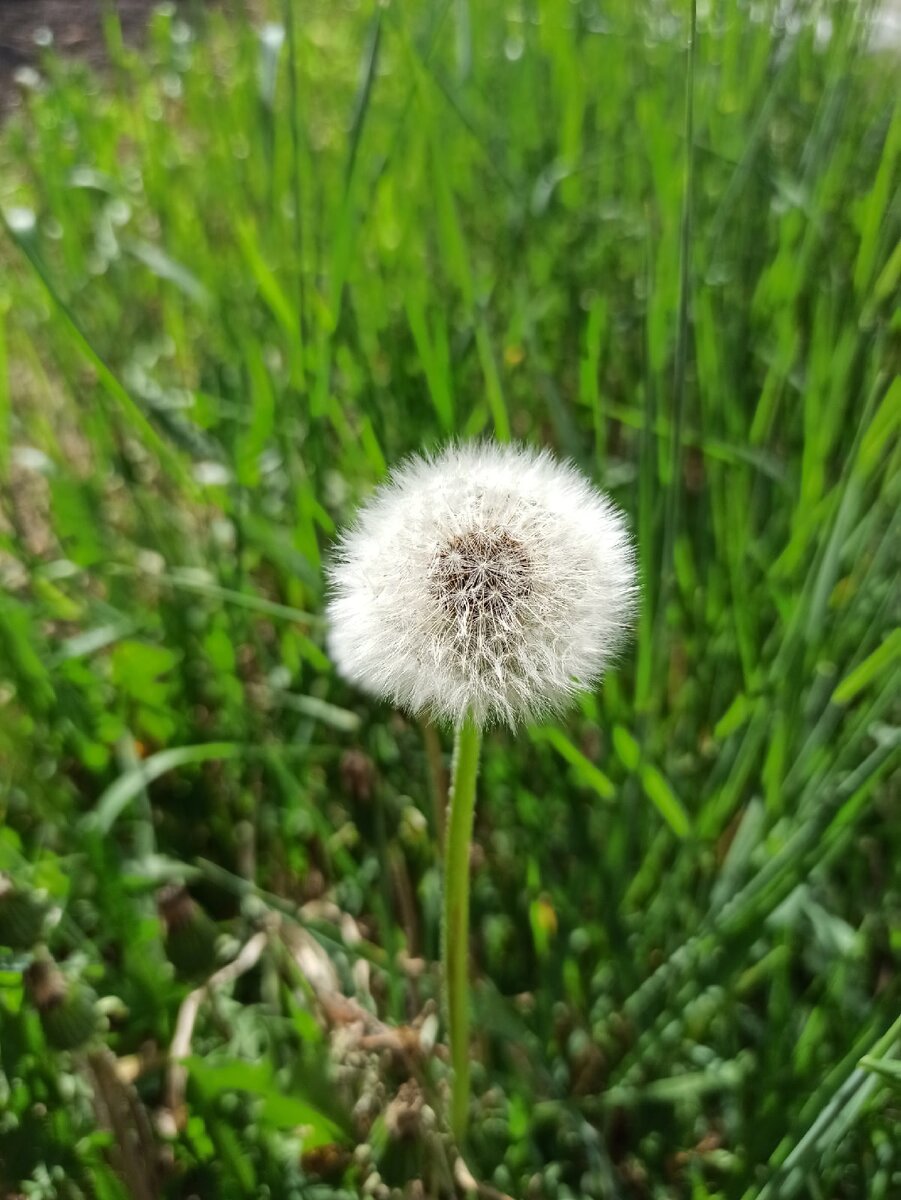 Личное фото автора. 