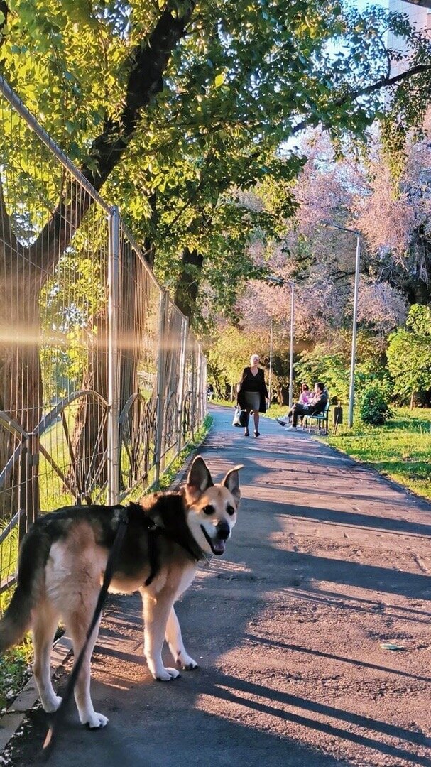 Фото-собственность канала