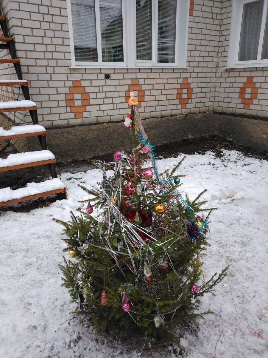 Ёлка перед домом позапрошлого года.