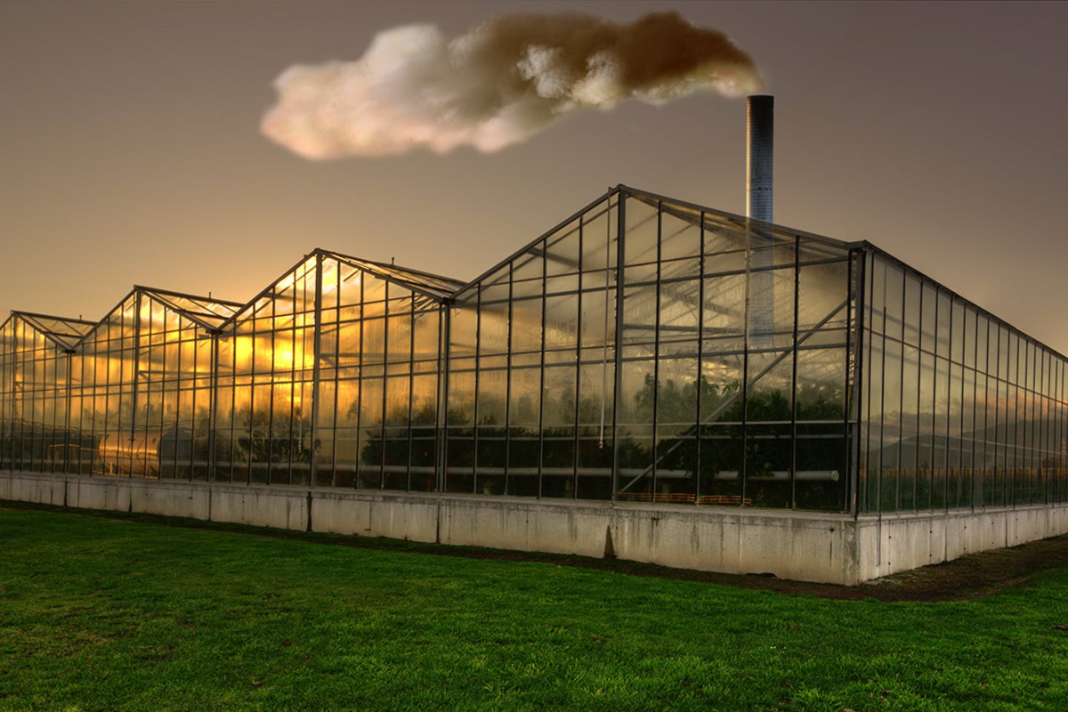 Источник: eco-business.com