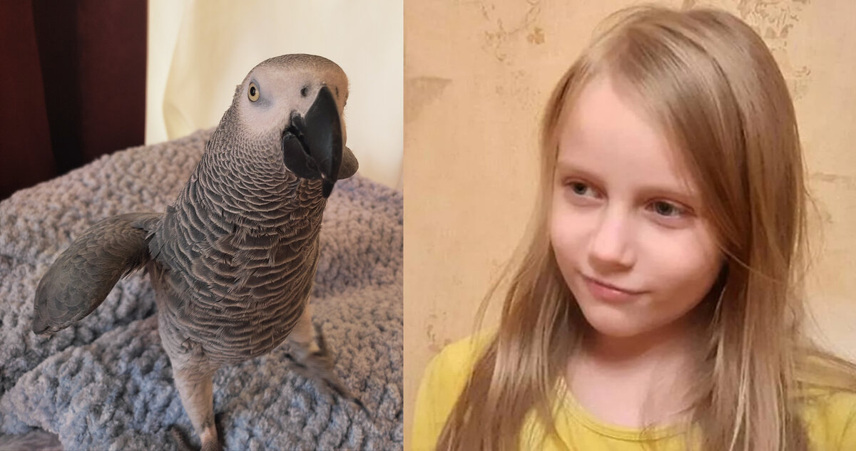 Коллаж мой