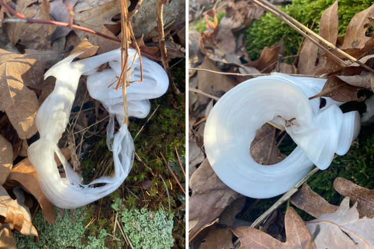 Источник: https://www.reddit.com/r/whatisthisthing/comments/rvhqin/what_is_this_ice_phenomenon_i_found_on_the_forest