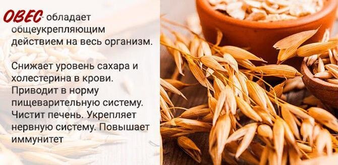 Как правильно заваривать овес для лечения. Овес для поджелудочной. Овес для поджелудочной железы. Отвар овса для поджелудочной железы. Отвар овса для печени
