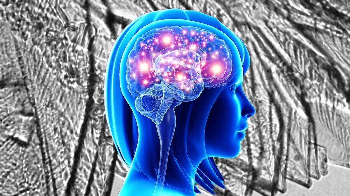 Мозг 5 класс. Асимметрия полушарий мозга. Картинка абстракция высокого качества мозг полушария. Зона f5 мозга макак. Улучшенная связь между полушариями мозга sapien Medicine.