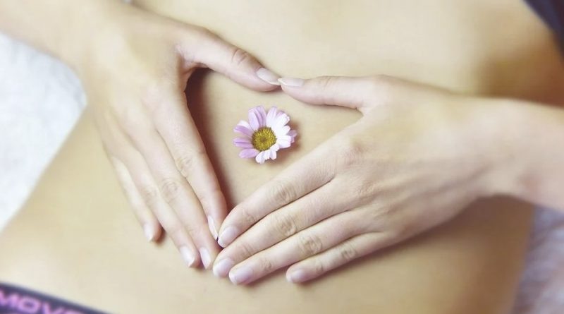 Женщины страдающие бесплодием получили возможность завести ребенка и родить его с помощью экстракорпорального оплодотворения. За несколько десятилетий этот метод смог получить мощное развитие. От первых опытов до процедуры оплачиваемой по полису ОМС. Здоровые и способные к оплодотворению яйцеклетки получают от женщин желающих стать донорами. Узнать подробнее можно о том, как стать донором яйцеклетки на сайте, общественной организации Доноры за жизнь.