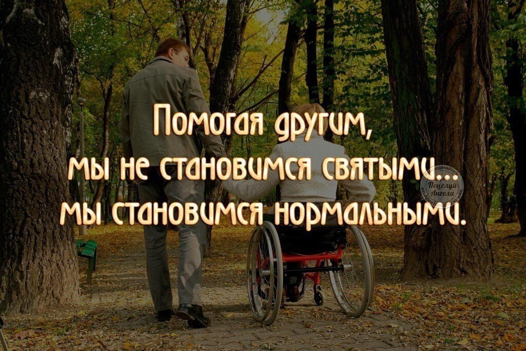 О пользе чужих советов картинка