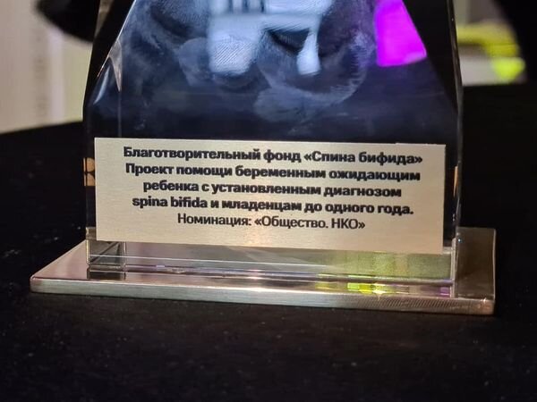 Благотворительный фонд «Спина бифида» получил премию Проекта +1 «Управление изменениями. Визионеры»
