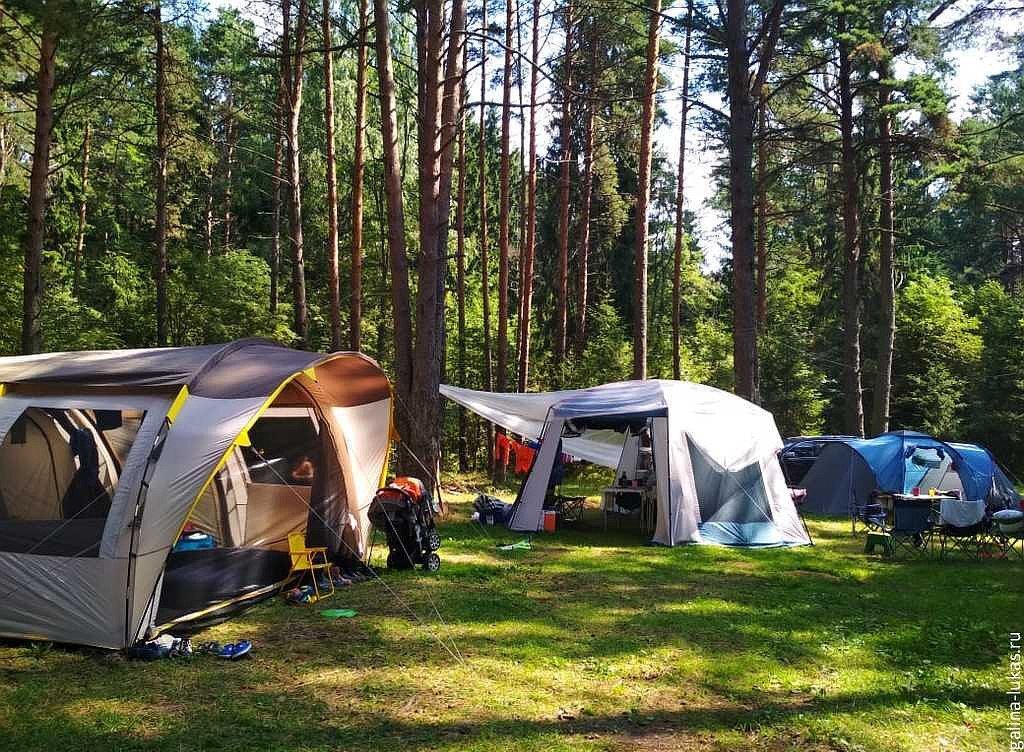 Картинка из Яндекс.Картинки