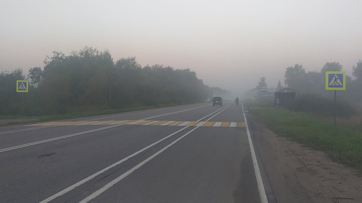 Едем в туман.  Включили задние и передние фонари в целях безопасности