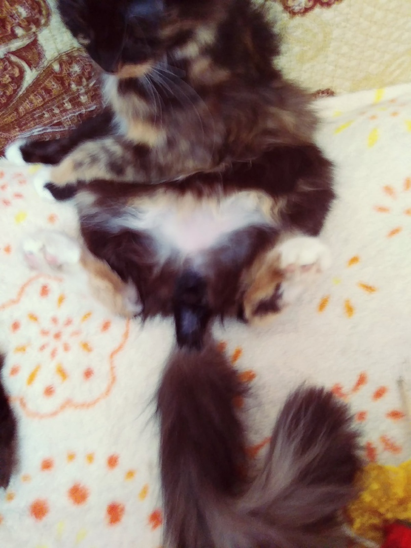 Видно, что обрастает шерсткой😊😊😊