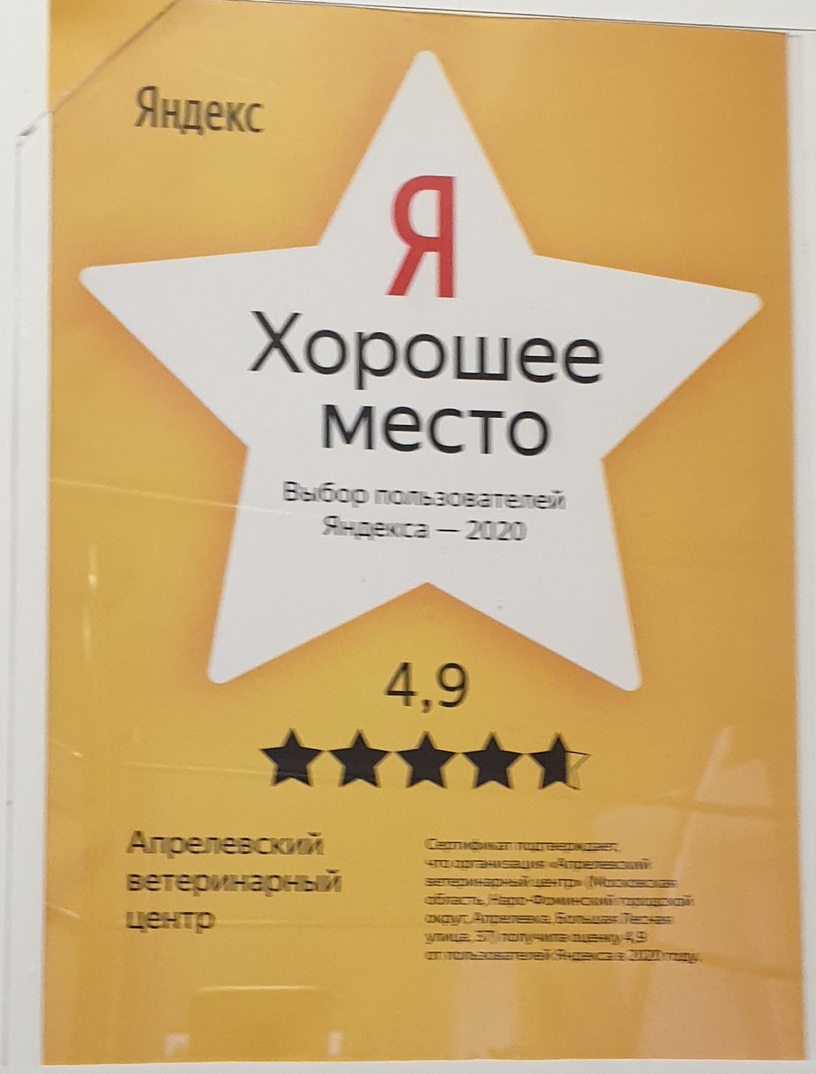 Фото автора.