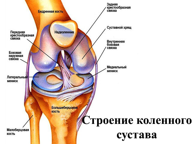 Хруст в коленях – норма или повод обратиться к врачу?