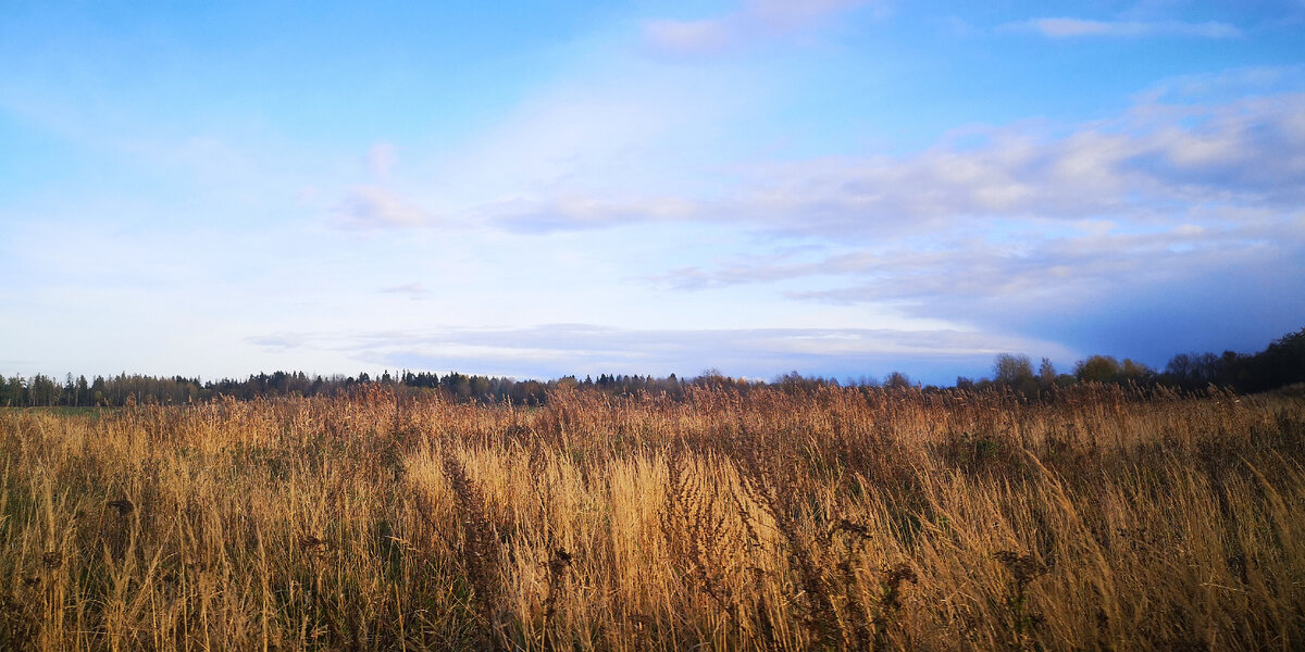 Поля Пятиречья
