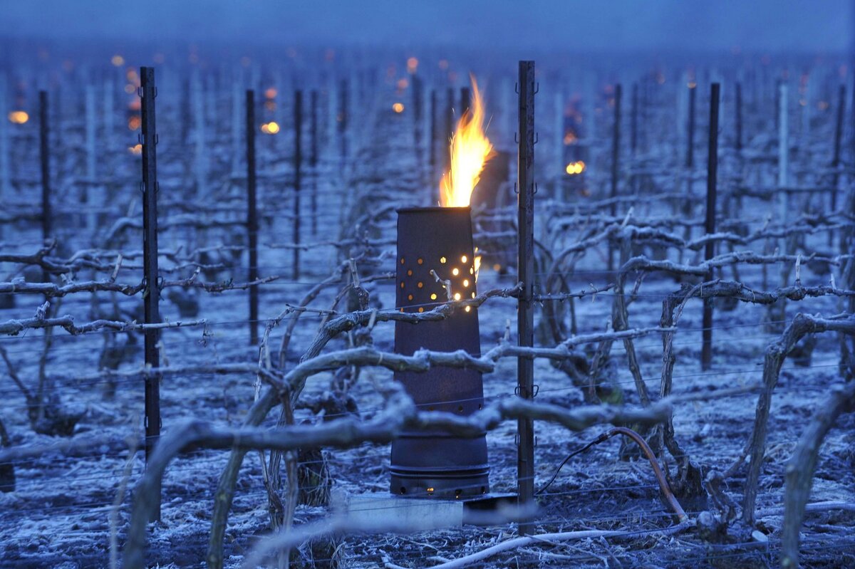 Мобильные печки на виноградниках напоминают могильные склепы из американских ужастиков / Фото Pinterest