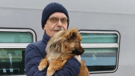 Альтов собака